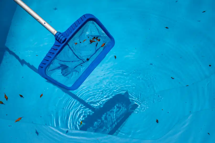 Signs Your Swimming Pool Needs Immediate Professional Cleaning in Norwalk, CA